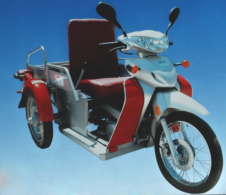 Fma Yıldırım Üç Tekerlekli Motosiklet